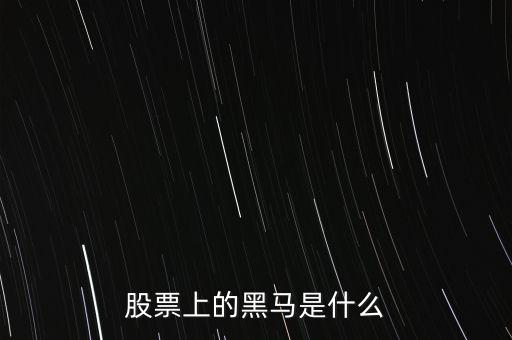 股票黑馬什么意思，股市上的黑馬是什么意思