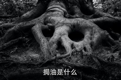 粵油是什么，輕質(zhì)油在炒原油里的什么油比如什么大連油粵油