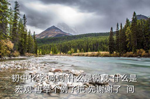 什么是宏觀事實，初中化學 呵呵 什么是微觀 什么是宏觀 再舉個例子把 先謝謝了  問