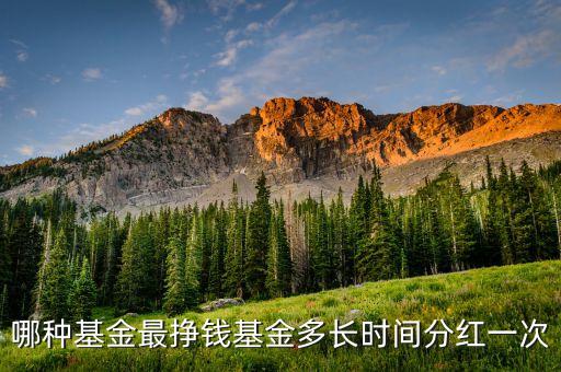 什么樣基金會定期分紅，那些基金會分紅