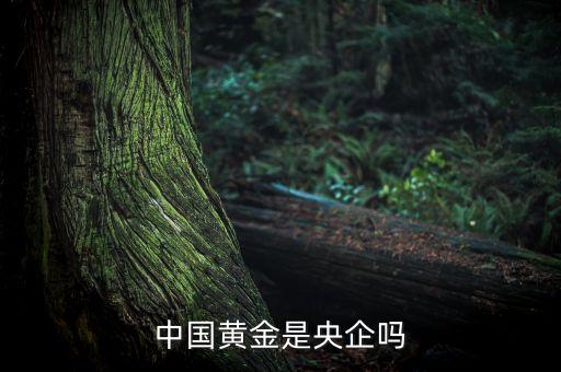 中國(guó)黃金為什么是央企品牌，中國(guó)黃金在各城市的店鋪是中國(guó)黃金直營(yíng)的還是加盟的如果是直營(yíng)