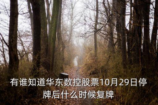 002248什么時候復牌，有誰知道華東數(shù)控股票10月29日停牌后什么時候復牌