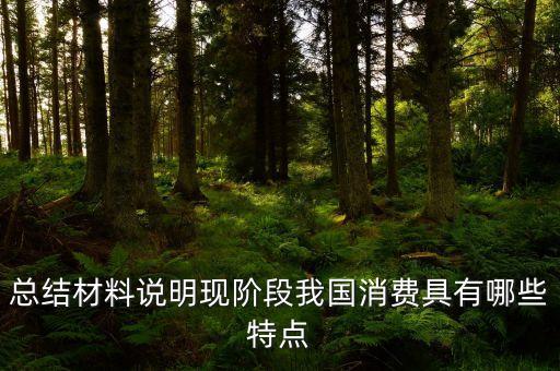 從材料的數(shù)據(jù)中反映了當(dāng)前消費(fèi)的什么特點(diǎn)，總結(jié)材料說明現(xiàn)階段我國消費(fèi)具有哪些特點(diǎn)