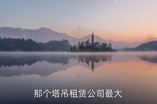 那個塔吊租賃公司最大