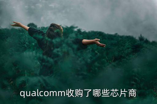 保千里收購什么公司，保千里股票以前叫什么