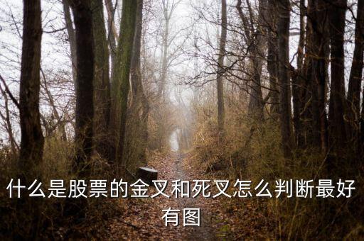 什么是股票金釵死叉圖解，什么是股票的金叉和死叉怎么判斷最好有圖