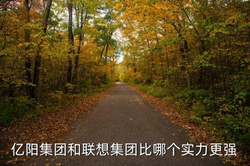 億陽(yáng)集團(tuán)的發(fā)展戰(zhàn)略是什么，億陽(yáng)集團(tuán)和聯(lián)想集團(tuán)比哪個(gè)實(shí)力更強(qiáng)