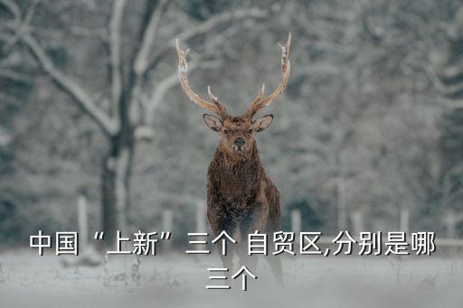 中國“上新”三個(gè) 自貿(mào)區(qū),分別是哪三個(gè)