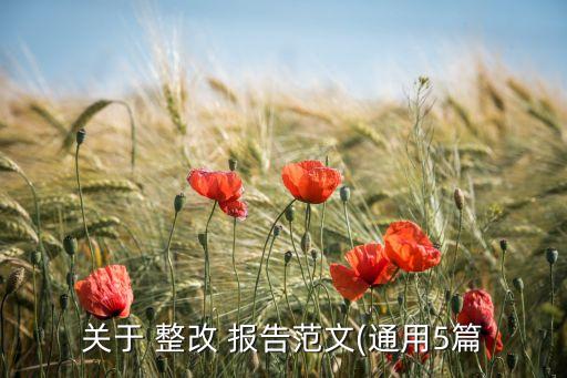 公司網(wǎng)站整改報告,年報、公司報告及公司網(wǎng)站