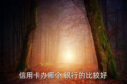 信用卡辦哪個(gè) 銀行的比較好