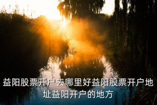 益陽(yáng)股票開戶去哪里好益陽(yáng)股票開戶地址益陽(yáng)開戶的地方