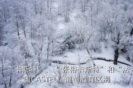 “卡斯特”、“ 張裕卡斯特”和“法國CASTEL”葡萄酒有區(qū)別
