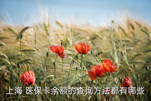 上海 醫(yī)?？ㄓ囝~的查詢方法都有哪些