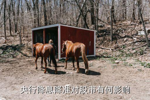 中天城投股票分析,西藏城投股票分析