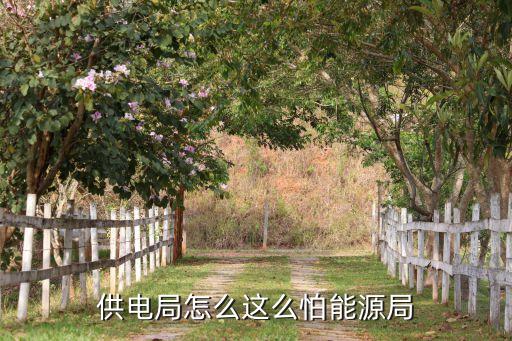 供電局怎么這么怕能源局