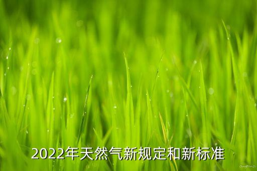 2022年天然氣新規(guī)定和新標(biāo)準(zhǔn)