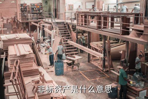 非標(biāo)理財投資類型,實(shí)物理財投資的類型及理由