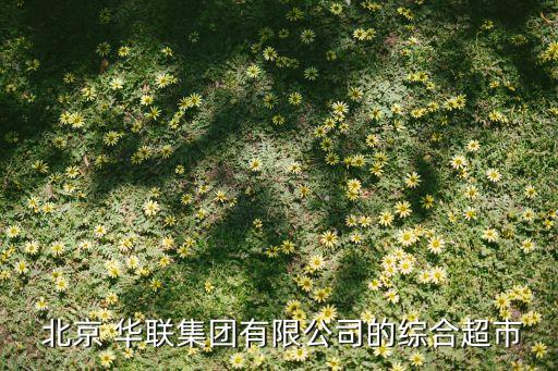 蘭州北京華聯(lián)供應(yīng)商系統(tǒng),北京華聯(lián)供應(yīng)商服務(wù)平臺查詢