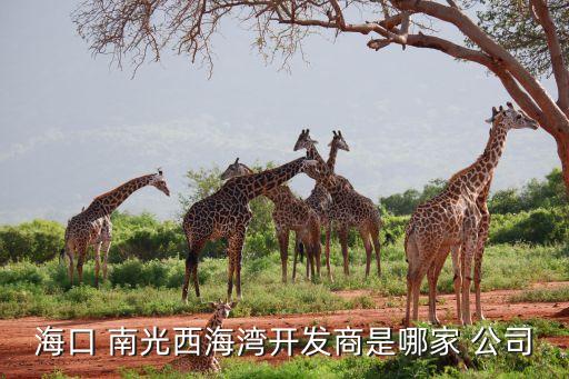 ?？?南光西海灣開發(fā)商是哪家 公司