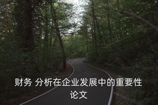  財務(wù) 分析在企業(yè)發(fā)展中的重要性 論文