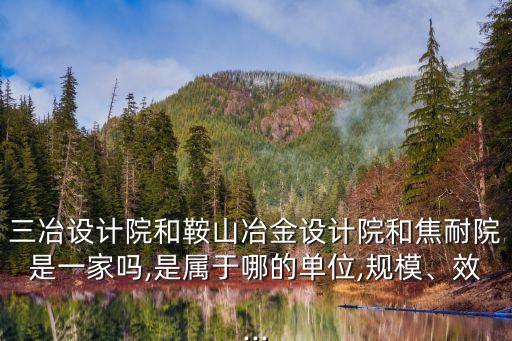 三冶設(shè)計(jì)院和鞍山冶金設(shè)計(jì)院和焦耐院是一家嗎,是屬于哪的單位,規(guī)模、效...