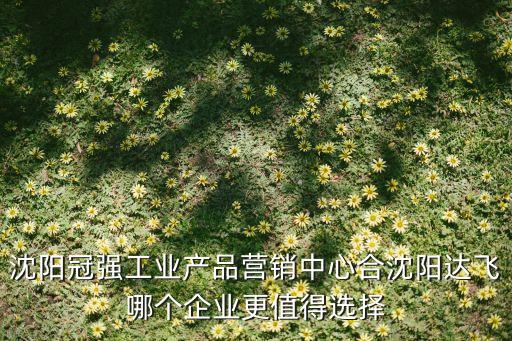 沈陽冠強工業(yè)產品營銷中心合沈陽達飛哪個企業(yè)更值得選擇