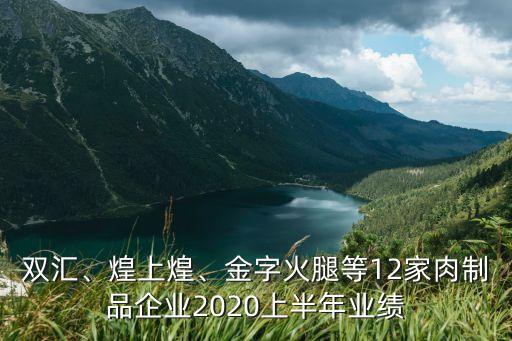 雙匯、煌上煌、金字火腿等12家肉制品企業(yè)2020上半年業(yè)績