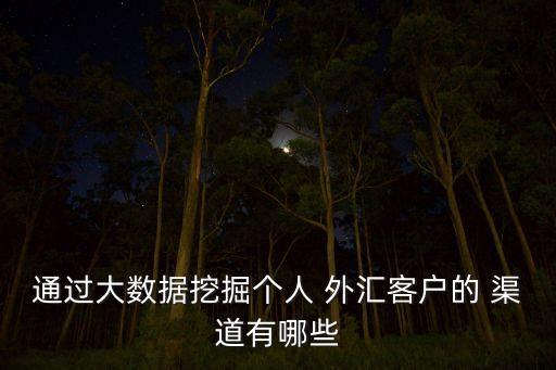 通過(guò)大數(shù)據(jù)挖掘個(gè)人 外匯客戶的 渠道有哪些