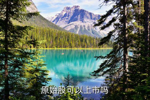 什么是公司公開發(fā)行股份前已發(fā)行的股份