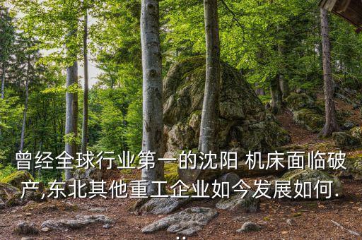 曾經(jīng)全球行業(yè)第一的沈陽 機床面臨破產,東北其他重工企業(yè)如今發(fā)展如何...