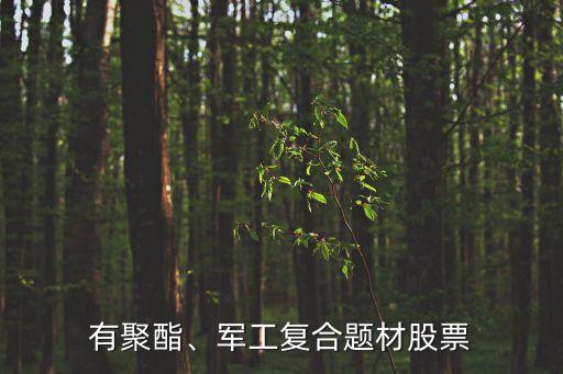 有聚酯、軍工復(fù)合題材股票