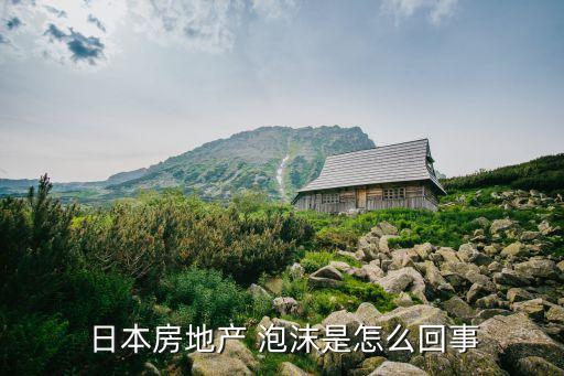 日本泡沫和中國,關于日本經濟泡沫的書