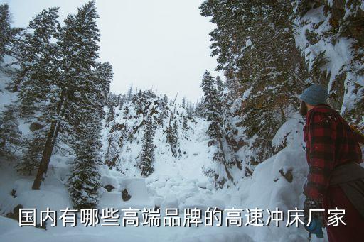 國內(nèi)有哪些高端品牌的高速?zèng)_床廠家