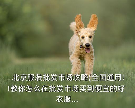  北京服裝批發(fā)市場攻略(全國通用!!教你怎么在批發(fā)市場買到便宜的好 衣服...