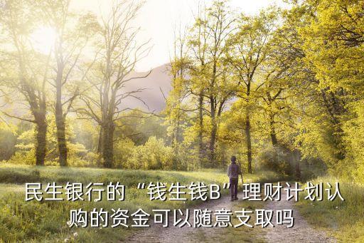  民生銀行的“錢生錢B”理財計劃認購的資金可以隨意支取嗎