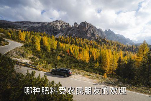 陽(yáng)煤豐喜集團(tuán)王中剛,王中剛豐喜2023