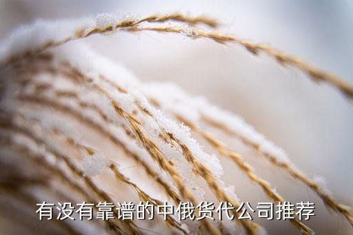有沒(méi)有靠譜的中俄貨代公司推薦