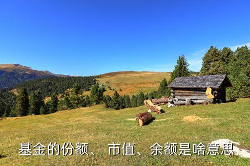  基金的份額、 市值、余額是啥意思