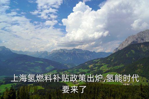  上海氫燃料補(bǔ)貼政策出爐,氫能時代要來了