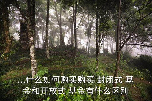 ...什么如何購(gòu)買購(gòu)買 封閉式 基金和開(kāi)放式 基金有什么區(qū)別