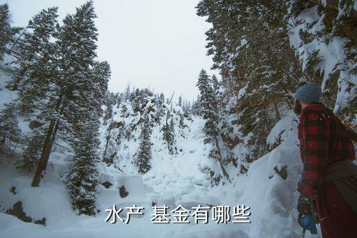 水產 基金有哪些