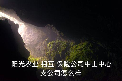 陽光農(nóng)業(yè)相互保險公司運(yùn)行情況調(diào)研,黑龍江陽光農(nóng)業(yè)相互保險公司
