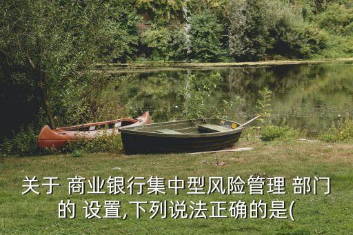 關(guān)于 商業(yè)銀行集中型風(fēng)險管理 部門的 設(shè)置,下列說法正確的是(