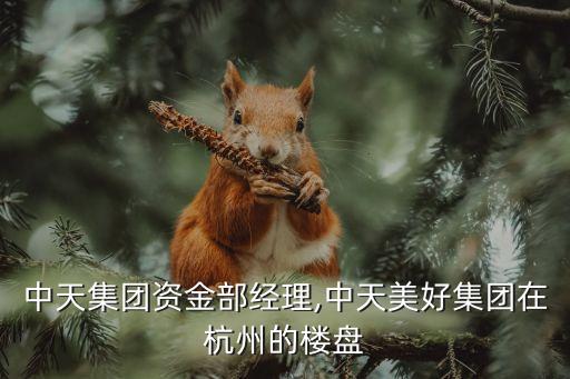 杭州中天集團資金部經(jīng)理,中天美好集團在杭州的樓盤
