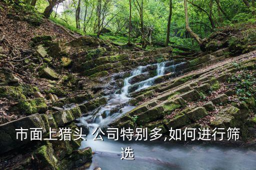 珠?；ヂ?lián)網(wǎng)金融公司招聘,互聯(lián)網(wǎng)金融公司招聘要求