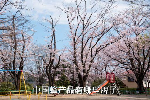 中國(guó)蜂產(chǎn)品有哪些牌子