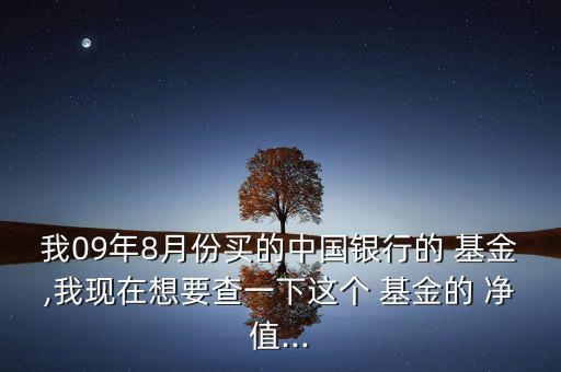 我09年8月份買(mǎi)的中國(guó)銀行的 基金,我現(xiàn)在想要查一下這個(gè) 基金的 凈值...