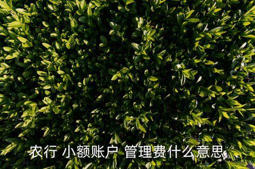 銀行收小額管理費(fèi),現(xiàn)在銀行收小額管理費(fèi)嗎