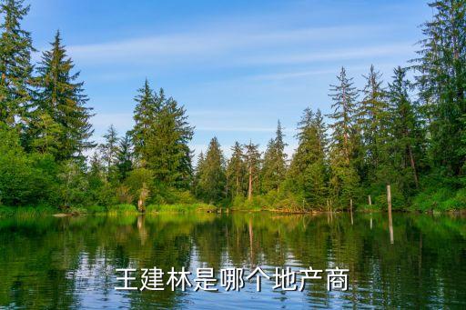 王建林是哪個(gè)地產(chǎn)商