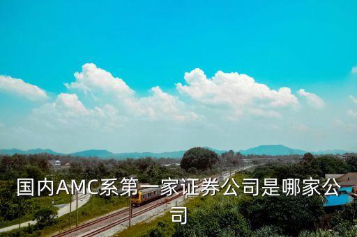 國內AMC系第一家證券公司是哪家公司